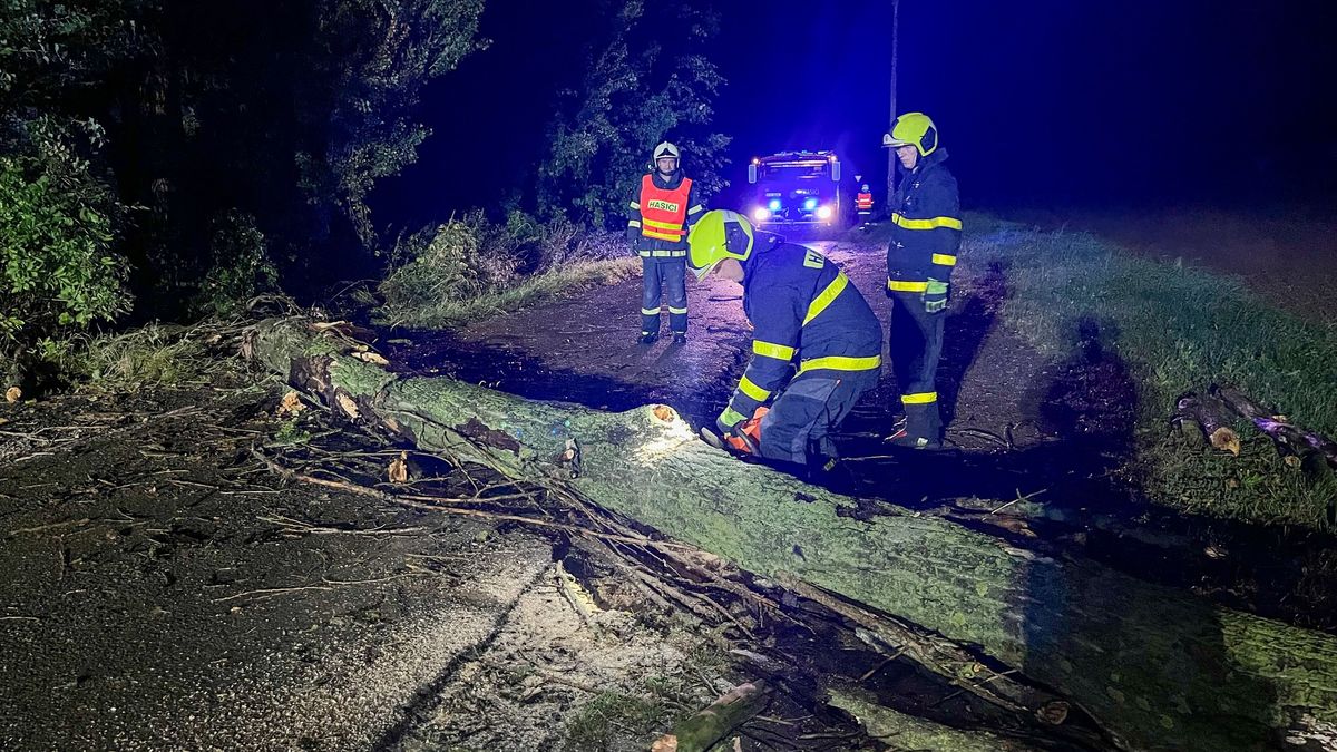 Silné bouřky se prohnaly Českem. Popadané stromy zastavily vlaky, tisíce odběratelů zůstávají bez elektřiny